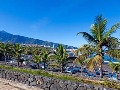 Playa Jardin