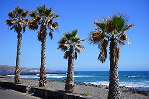 Playa de las Americas - Ausblick von der Promenade